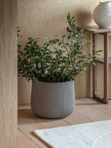 Next Gallery Home Grey Outdoor Ribbed Planter- Buy online at McGrocer
