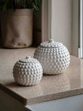 Gallery Home white beaded ceramic small jar, imported from the UK