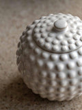 Gallery Home white beaded ceramic small jar, imported from the UK