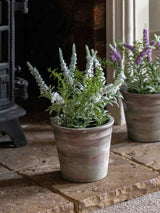Next Gallery Home Purple Potted Provence Lavender Artificial Plant 30cm- Buy online at McGrocer