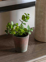 Next Gallery Home Red Potted Peppermint Terracotta Artificial Plant 23cm- Buy online at McGrocer
