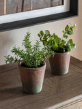 Gallery Home artificial peppermint plant red terracotta pot 23cm (British brand)