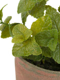 Gallery Home artificial peppermint plant red terracotta pot 23cm (British brand)