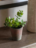 Gallery Home artificial peppermint plant red terracotta pot 23cm (British brand)