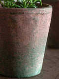 Gallery Home red potted rosemary in terracotta pot, imported from the UK