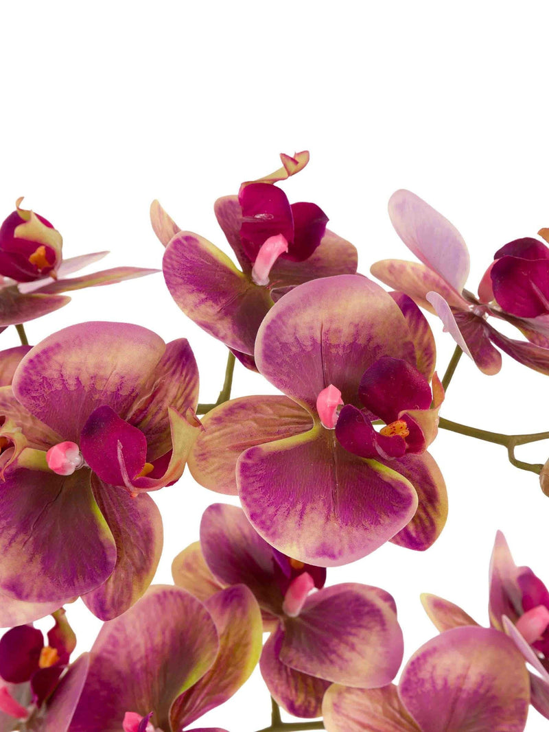 Gallery Home brown orchids in moss dot pot 61cm high - British product
