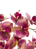 Gallery Home brown orchids in moss dot pot 61cm high - British product