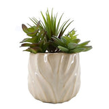 Curate faux succulent mixed 21.5cm - British product