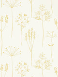 Scion yellow stipa wallpaper - British product