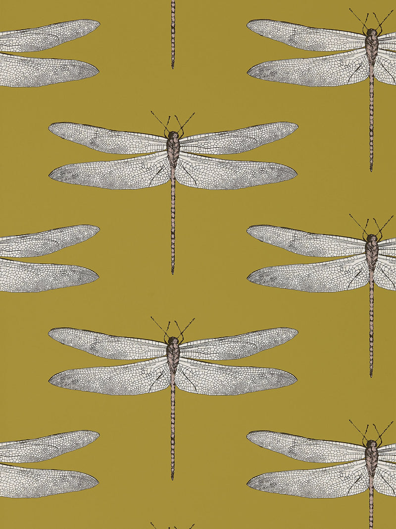 Harlequin yellow demoiselle wallpaper, imported from the UK