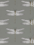 Harlequin Grey Demoiselle wallpaper 10.05m - British product
