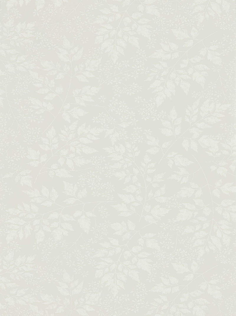 Sanderson Home Tapetenmuster Grau Frühlingsblätter, UK-Version