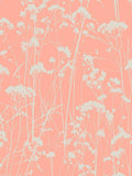 Échantillon de papier peint Graham & Brown Coral Pink Grace - Produit britannique