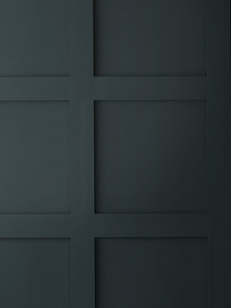 Graham & Brown Black Cab paint, imported from the UK