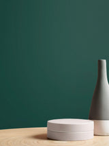 Next Graham & Brown Adeline Green Resistance Matt Emulsion Paint- Buy online at McGrocer