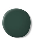 Graham & Brown Adeline Green emulsion paint (British brand)