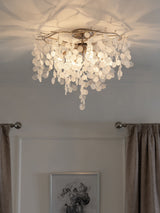 Next Clear Lunaria 4 Light Flush Ceiling Light- Buy online at McGrocer