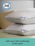 Sealy Anti Allergy Pillows Set of 2 (British brand)