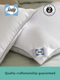 Sealy Anti Allergy Pillows Set of 2 (British brand)