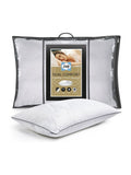 Sealy Dual Comfort Memory Foam Pillow (British brand)