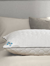 Next Sealy Deeply Full 100% Cotton Pillow- Buy online at McGrocer
