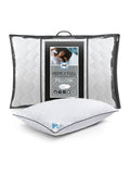 Sealy Deeply Full cotton pillow (British brand)