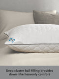 Sealy Deeply Full cotton pillow (British brand)