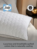 Sealy Deeply Full cotton pillow (British brand)