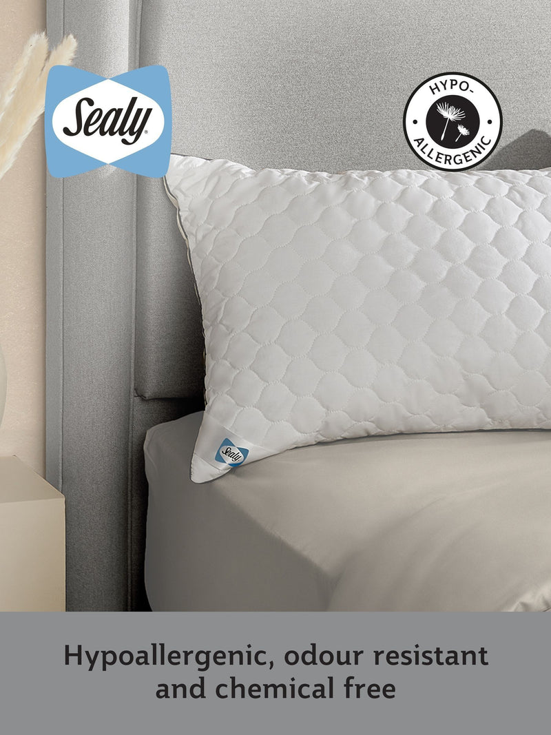 Sealy Deeply Full cotton pillow (British brand)