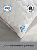 Sealy Deeply Full cotton pillow (British brand)