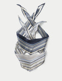 TP 2 Pack Stripe Scarves in polyester (British brand)