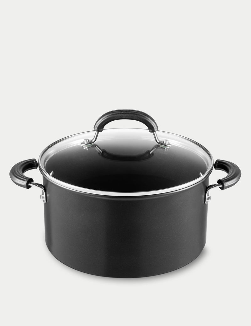 Total induction stockpot with lid 24cm 5.7L (British brand)