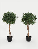 Blooma Artificial Bay Trees Set of 2 3ft (British brand)