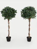 Blooma Artificial Bay Trees Set of 2 120cm (British brand)