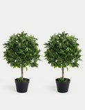 Blooma set of 2 artificial bay trees 70cm - British product
