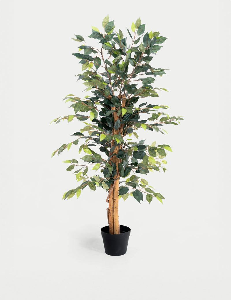 Blooming Artificial 4ft artificial ficus tree in pot, imported from the UK