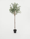 Blooming Artificial 4.5ft olive tree with fruits, imported from the UK