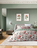 Bedeck of Belfast Elswyth square pillowcases 2 pack, imported from the UK