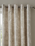 Laura Ashley Lloyd Pure Cotton Eyelet Curtains