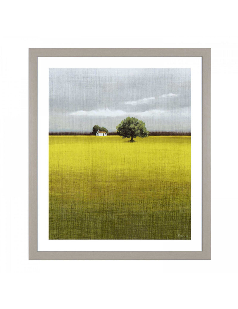 Gallery Direct morning warmth nature framed art 70x60 cm, imported from the UK