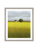 Gallery Direct morning warmth nature framed art 70x60 cm, imported from the UK