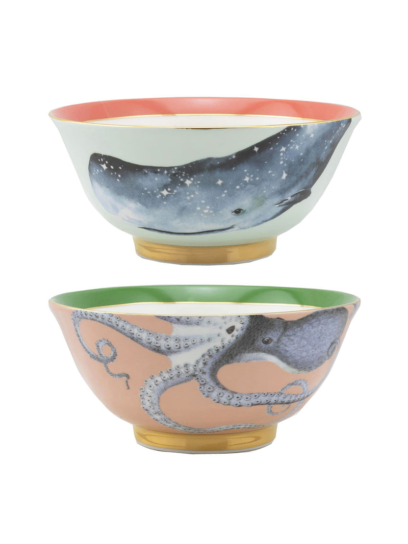 Yvonne Ellen rice bowl set with noodle bowl and chopsticks (British brand)