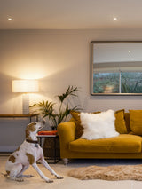 Next Naturally Sheepskins Champagne Premium New Zealand Double Sheepskin Rug- Buy online at McGrocer
