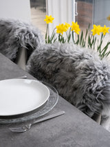 Next Naturally Sheepskins Silver Grey Premium New Zealand Single Sheepskin Rug- Buy online at McGrocer