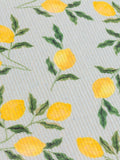 Furn Blue Lemons polyester placemats set of 4, UK version