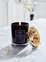 Next Orange Blossom Bloom Luxe Home Fragrance Candle- Buy online at McGrocer