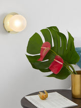 Next MADE.COM White Boll Wall Light 15x15x15cm- Buy online at McGrocer