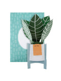 Hallmark green for you zebra plant 3D pop up card, UK version