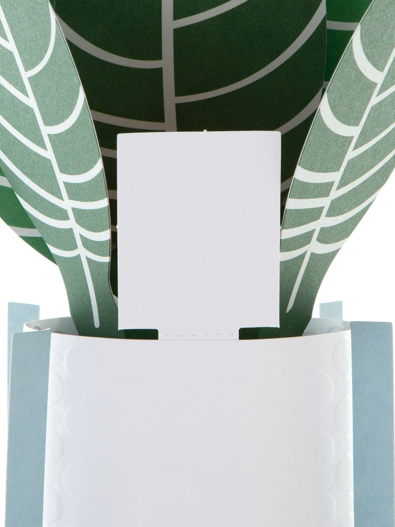 Hallmark green for you zebra plant 3D pop up card, UK version