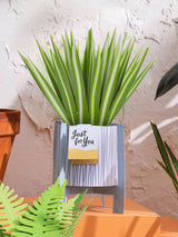 Next Hallmark Green Little Hello Card 3D Pop Up Spider Plant- Buy online at McGrocer